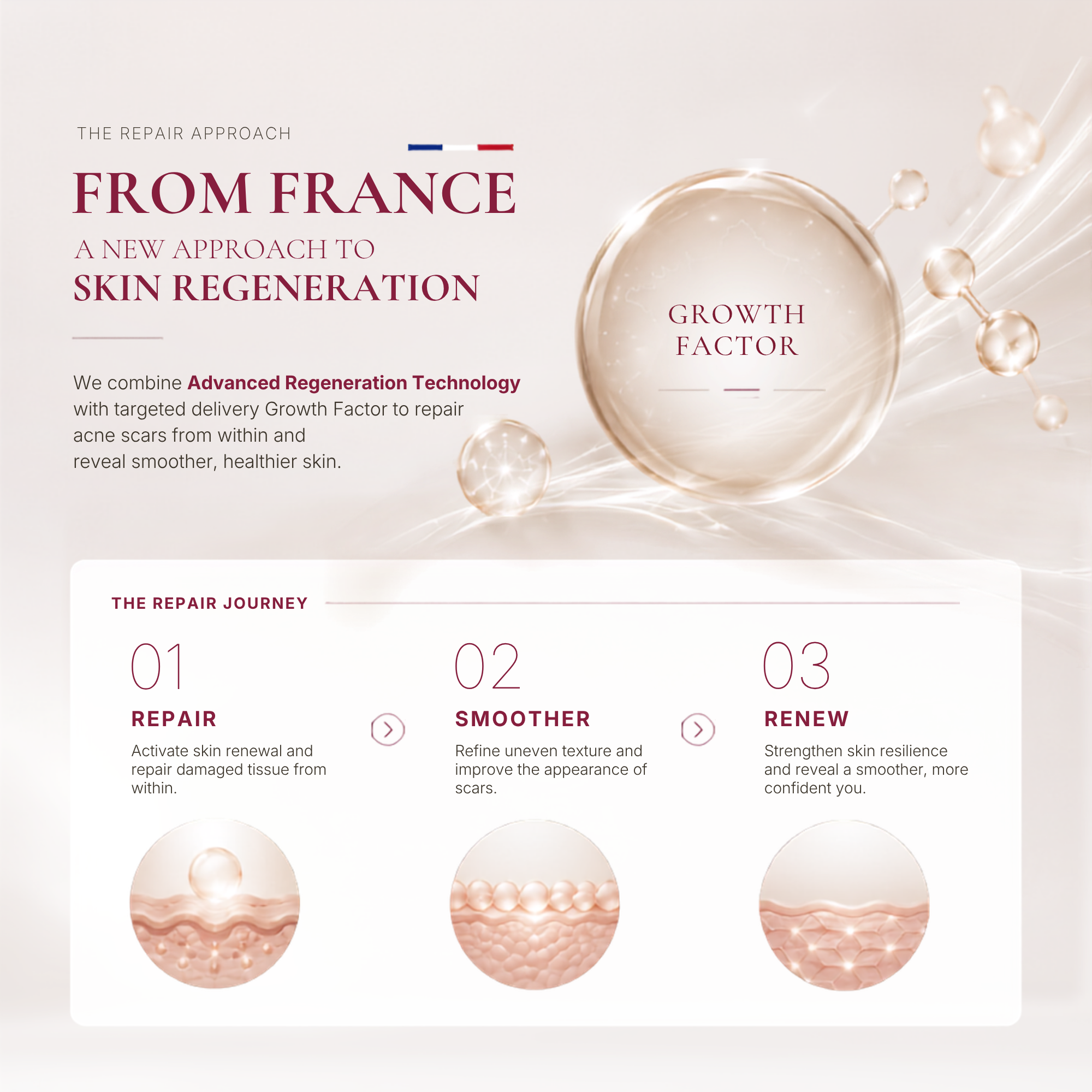 Growth Factor Repair Treatment - Image 3