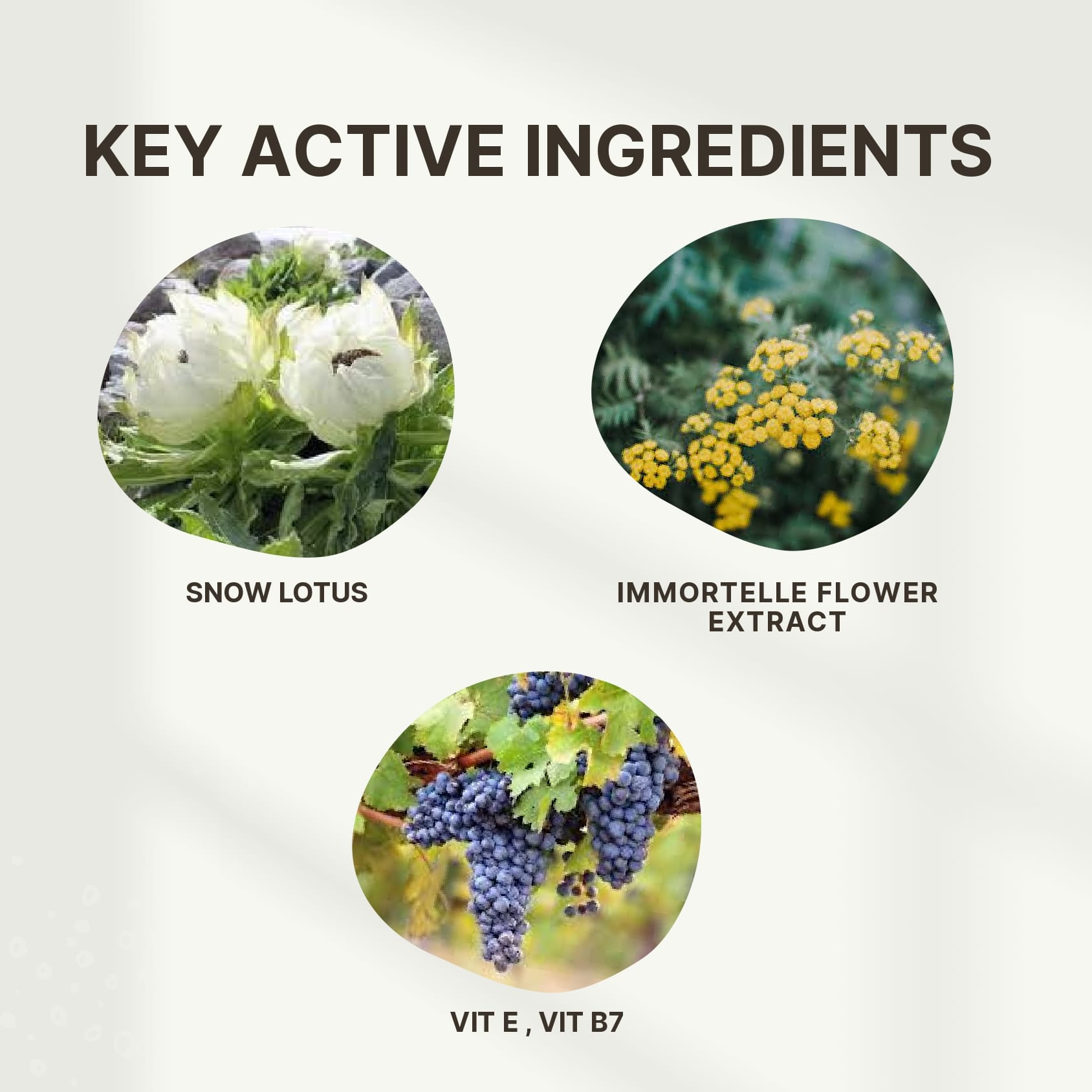 Cell-Vate Treatment - Image 3