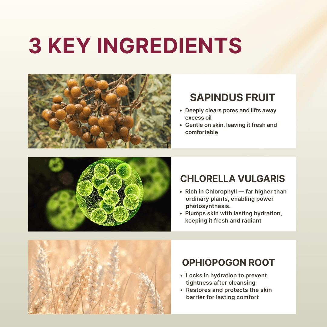 Dewy Mousse Cleanser - Image 4