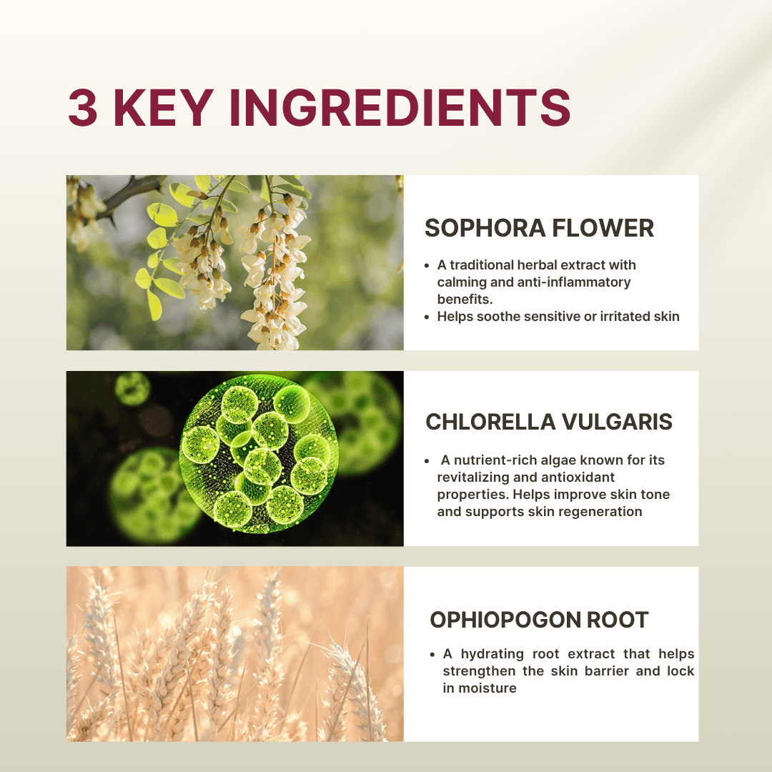 Lacto Cleanser - Image 3